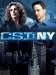 serie de TV CSI: Nueva York