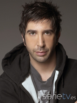 David Schwimmer - actor de series de TV